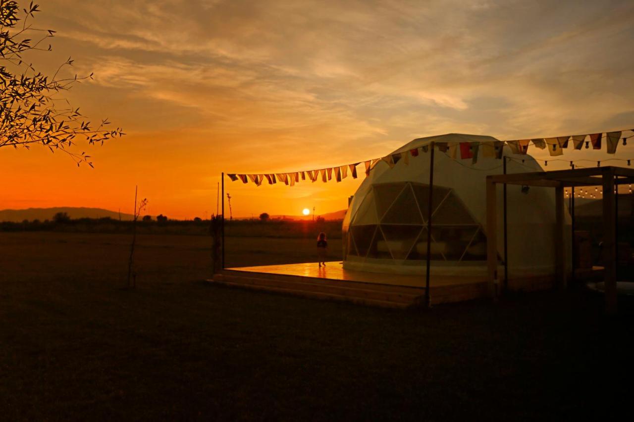 Otel Jewelberry Glamping Tbilisi